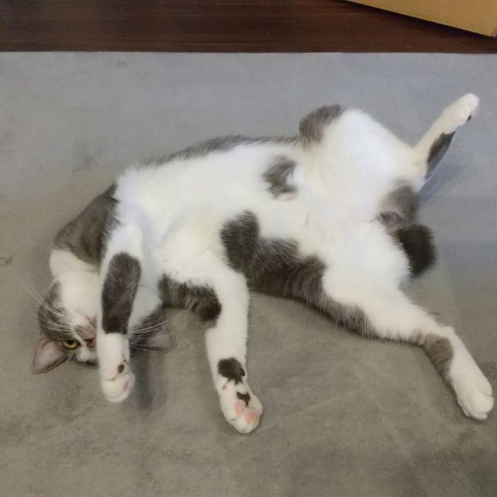 De6c3c9b 862a 4fdb 9dd0 b40f06914fdd 1600522473359