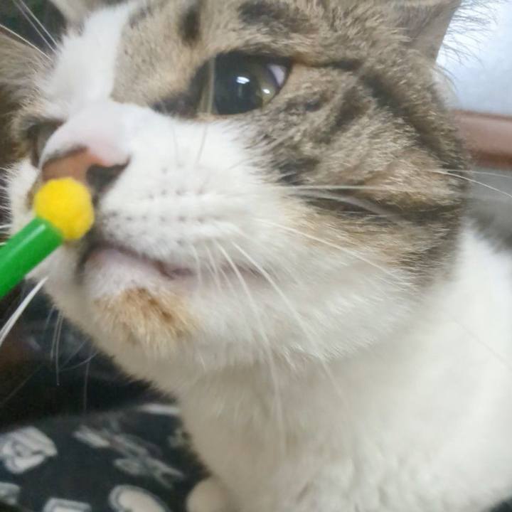 De6c4324 0f7c 4ff2 a247 435dcd8acccf 1747573379045