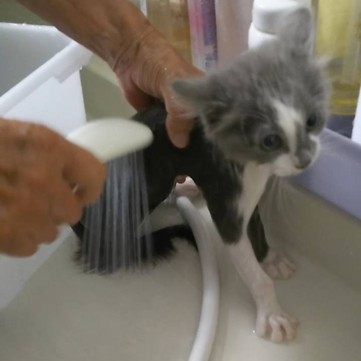 De6c56b2 7183 4899 be16 8b011daf5ebf 1562550824330