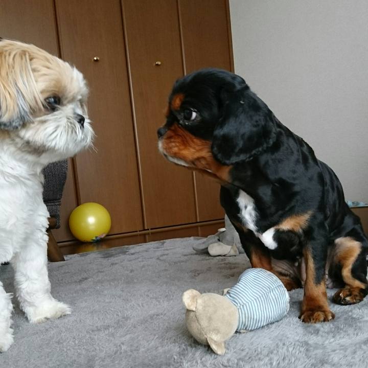 De6c8744 3809 42f7 ac73 9e4935e5c737 1556768741725