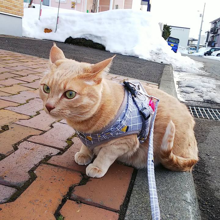 De6c8be4 2603 437b b7e9 de3bddb8d44b 1648027068741