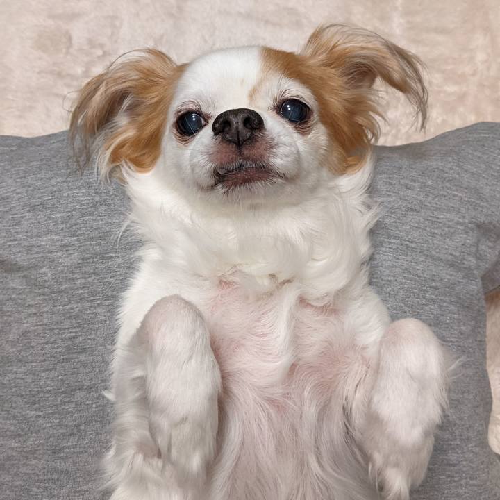 De6c993f 833f 4c12 b859 8b678819cb17 1636469176523