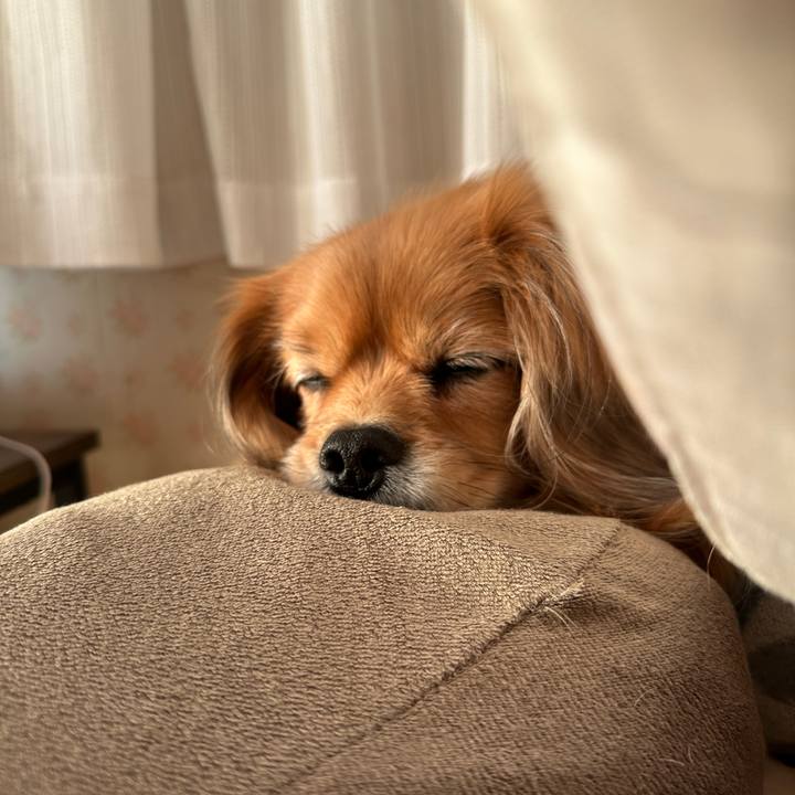 De6cc811 3846 4447 bb85 418225c501ec 1739233681377