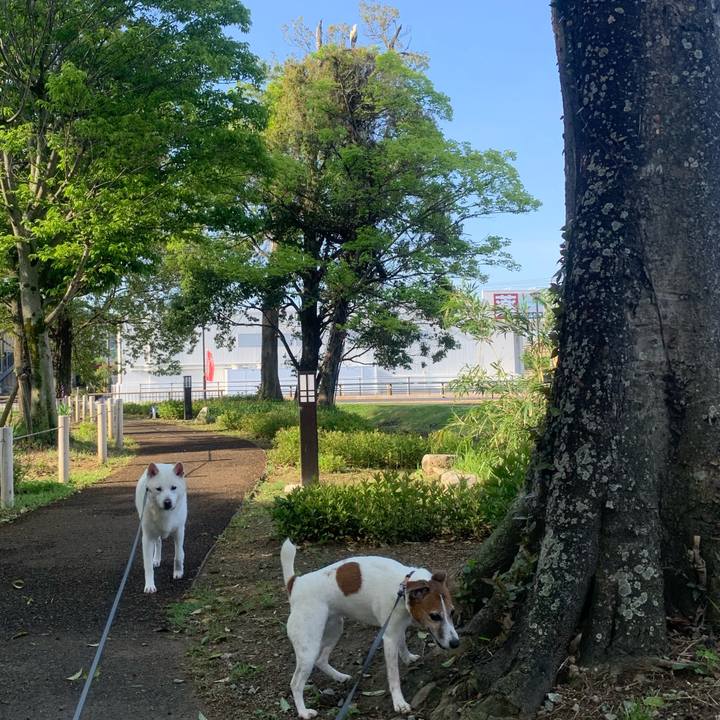 De6cd49d f769 4ac2 82a2 6b9c4c4019ea 1557099805839