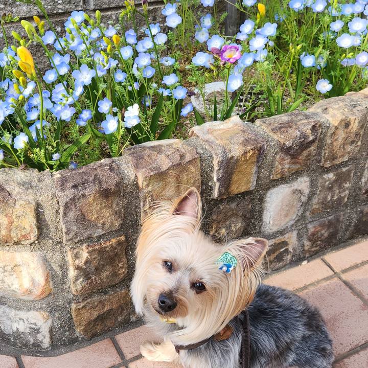 De6d807d 1bb8 44ba 88b9 e112eda2d19e 1712998179352