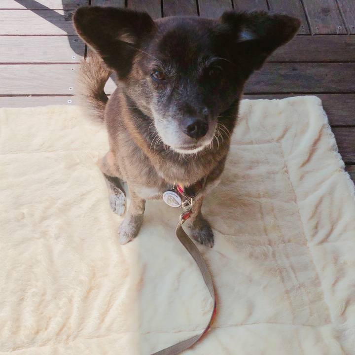 De6d8679 b798 42d6 9810 e12c16814376 1618299248999