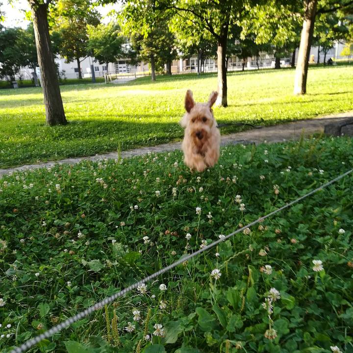 De6da25e 8592 4700 954d d55c1e872918 1532984374366