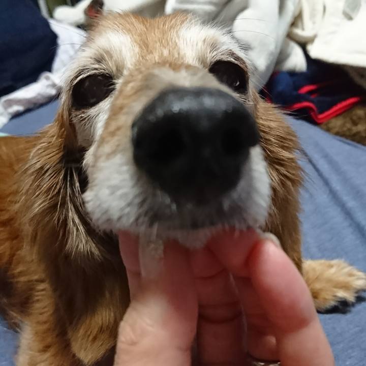 De6da49b e98c 4c3a ac83 f65c6e59c1f8 1518189510160