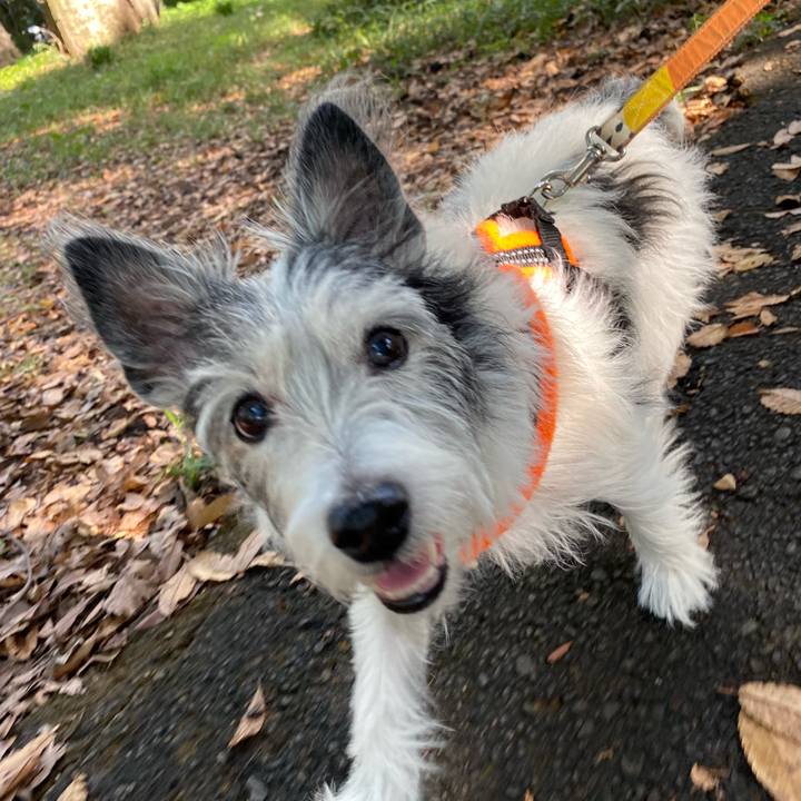 De6de040 8782 41d5 8655 1226a8a03082 1572873385947