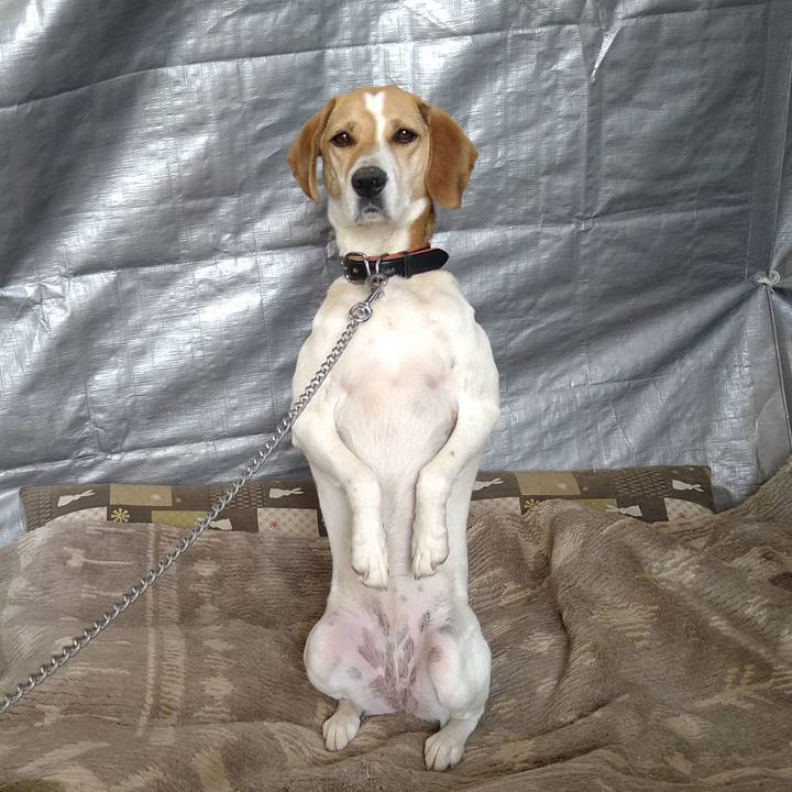 De6dfb77 62f2 4f55 8211 57d088365ace 1623221102900