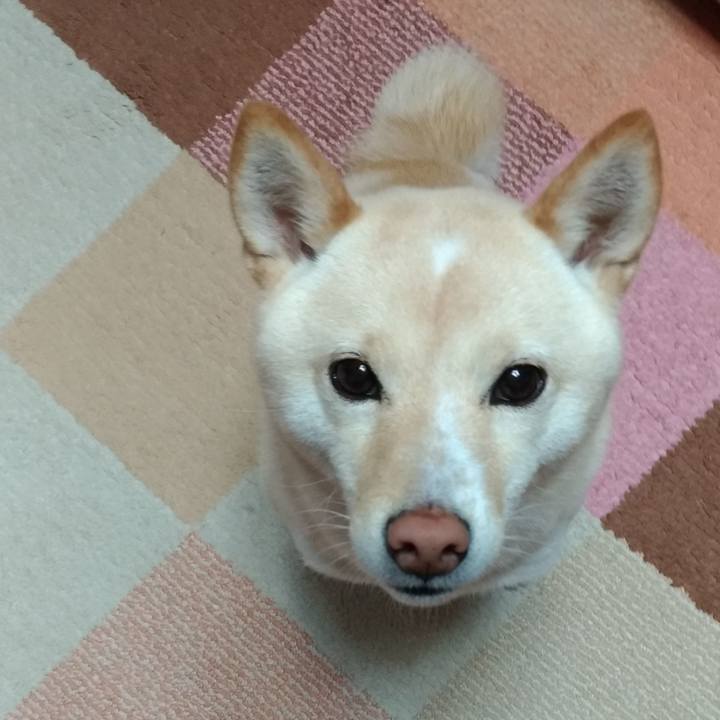 De6e30fd 5e2e 4640 9bf8 e982c9162e0a 1577397112666