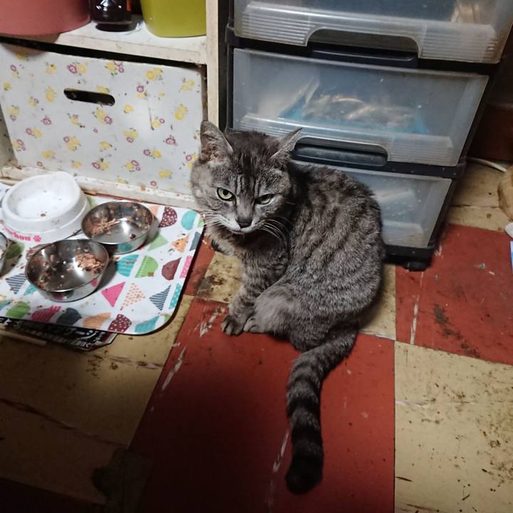 De6e49d9 982b 45f7 b12e a2477973ebf3 1589534010427