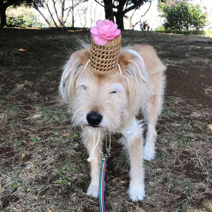 De6e6f3f 1f6b 445d 82d0 f7c254928ea7 1615711336927