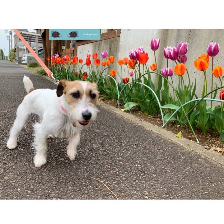 De6e773d 4ec9 465a a4bd 958e1ec7e223 1587900288215