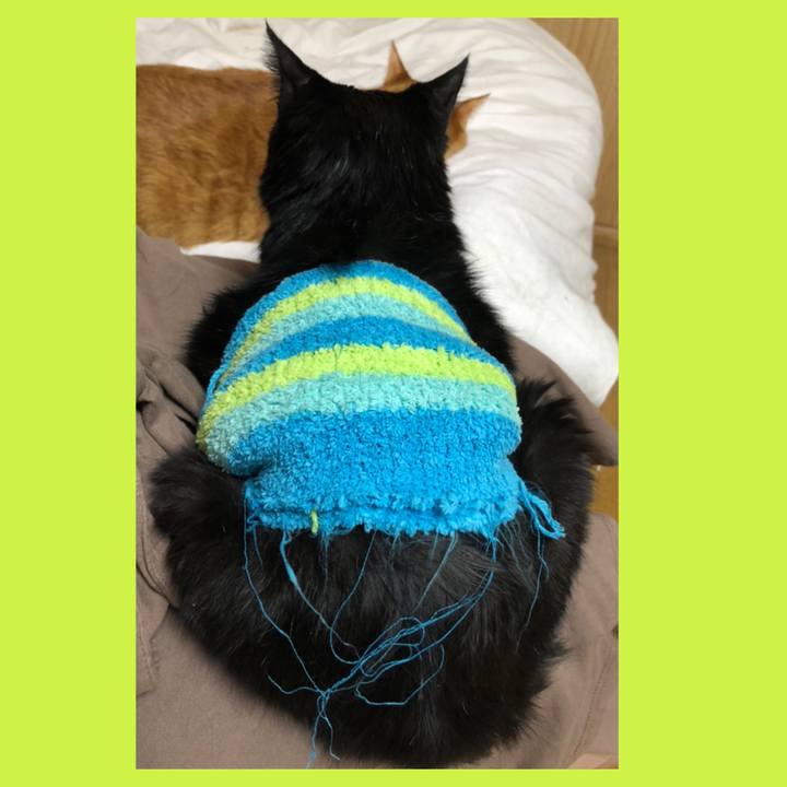 De6e81da b48a 4663 b325 063605048509 1612003197653