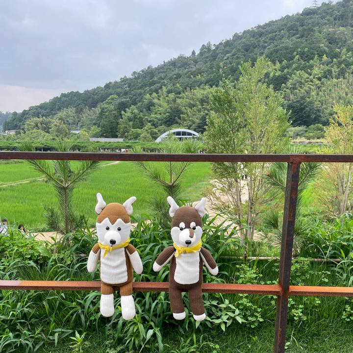 De6e8afb 3a27 4458 95fe d86f573862aa 1689277876179