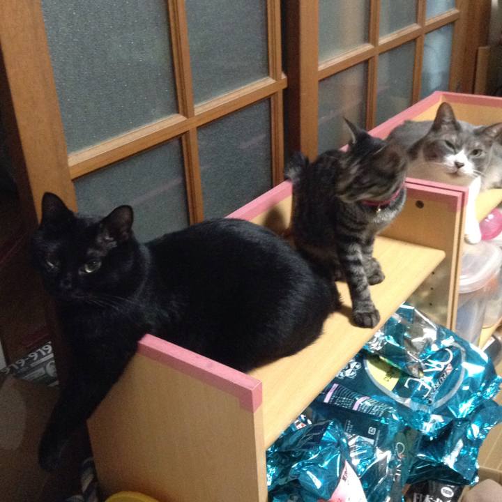 De6e8ea5 6b58 44ac 9859 dc1e2538c820 1532511555364