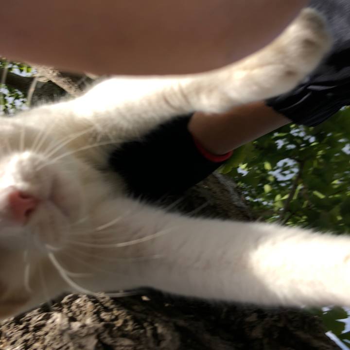 De6ef16f 4f95 4cea be31 a2c29e8b413c 1538464372113