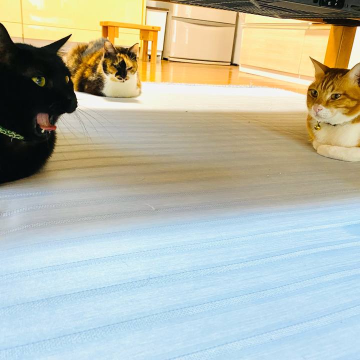 De6ef17f 6ca7 40af abd9 ec452383e315 1666742980389