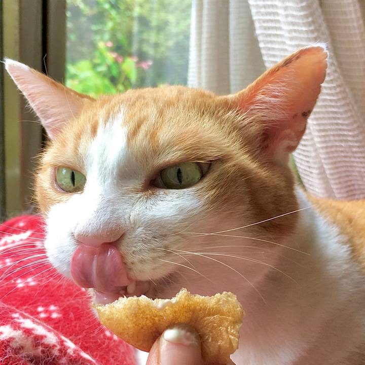 De6f0ea3 583c 48c8 8d92 7c610c5de2a9 1597728720143