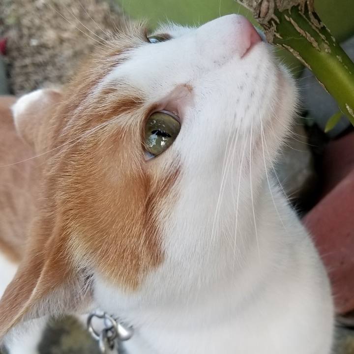 De6f6d14 1c27 46e3 963e be4efb1531ae 1520157923282