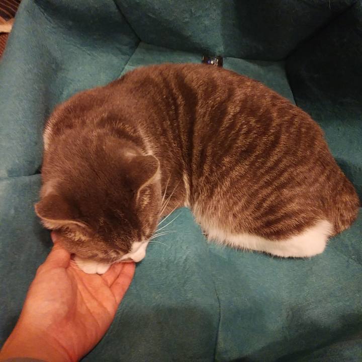 De6f8a9b 85fb 40e4 88aa cbec9a27ff68 1582894004063