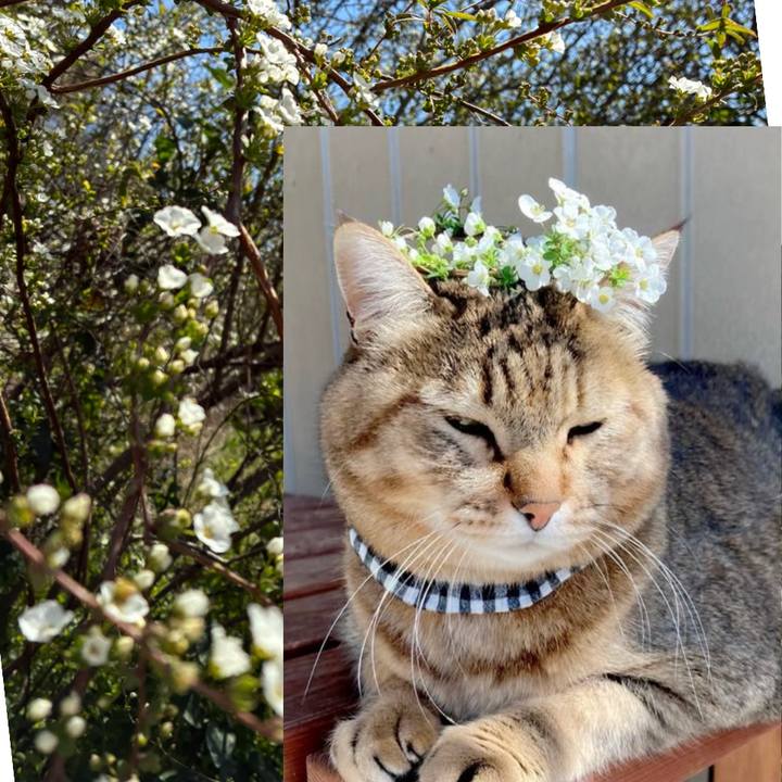 De6fd164 bd24 4b36 a606 665e083ea5ce 1773283765971