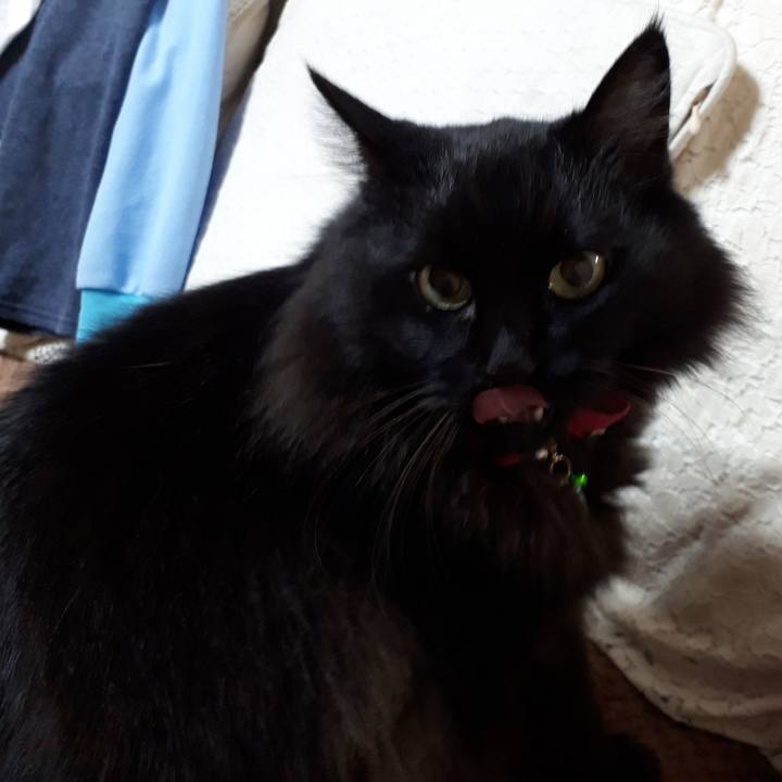 De6fd309 9f46 454d b706 aa8eb1bff25f 1519337022245