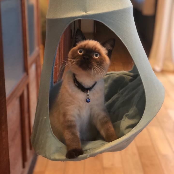 De700aec 404f 4b17 b7ca f30b55e0344a 1590966247018