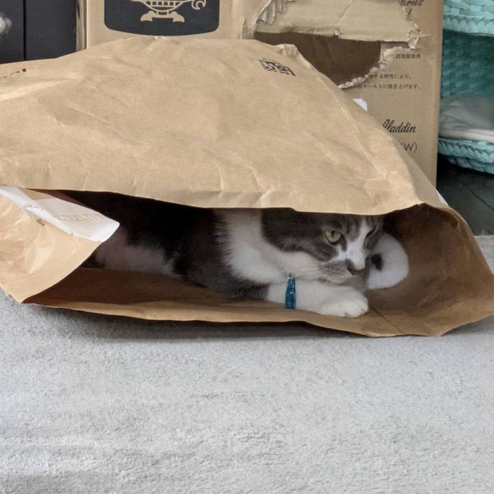 De7029a0 3dbb 408b a872 f78b8b56e3ab 1757483165813