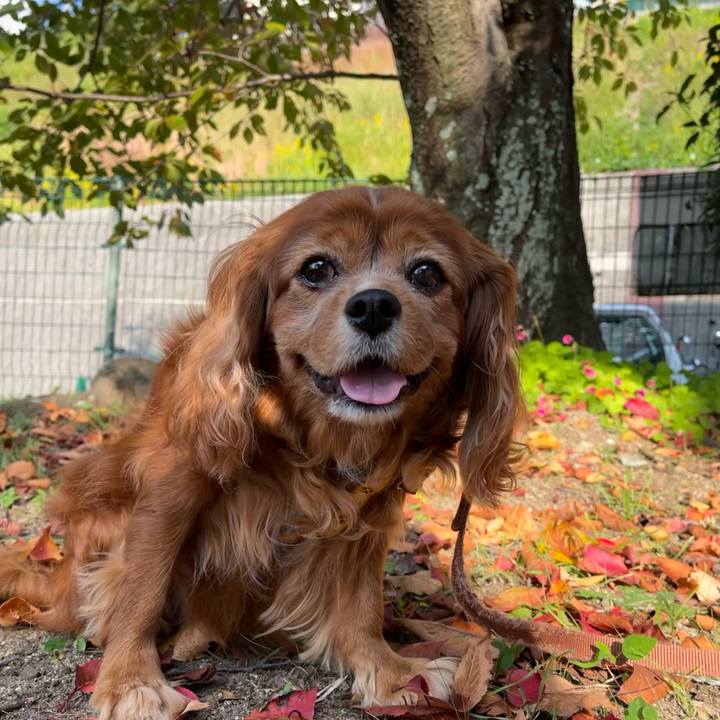 De704481 199e 4540 a777 db832f5c7fe9 1699658830437