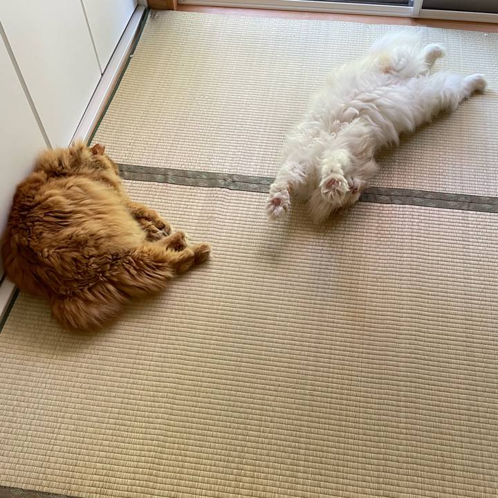 De704eb6 5965 415e 8eda 095c3e4ddbc2 1656706715681