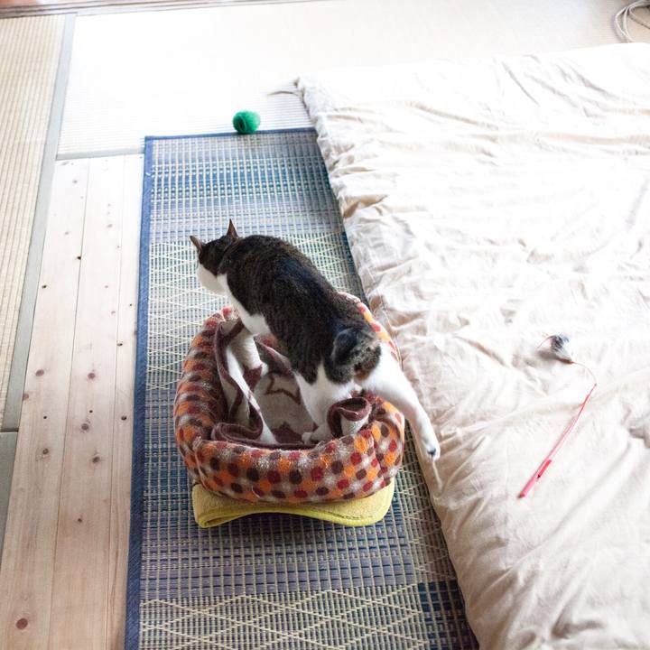 De70547b 7f05 4d40 8fbd 9cee4f725d0f 1561781370199