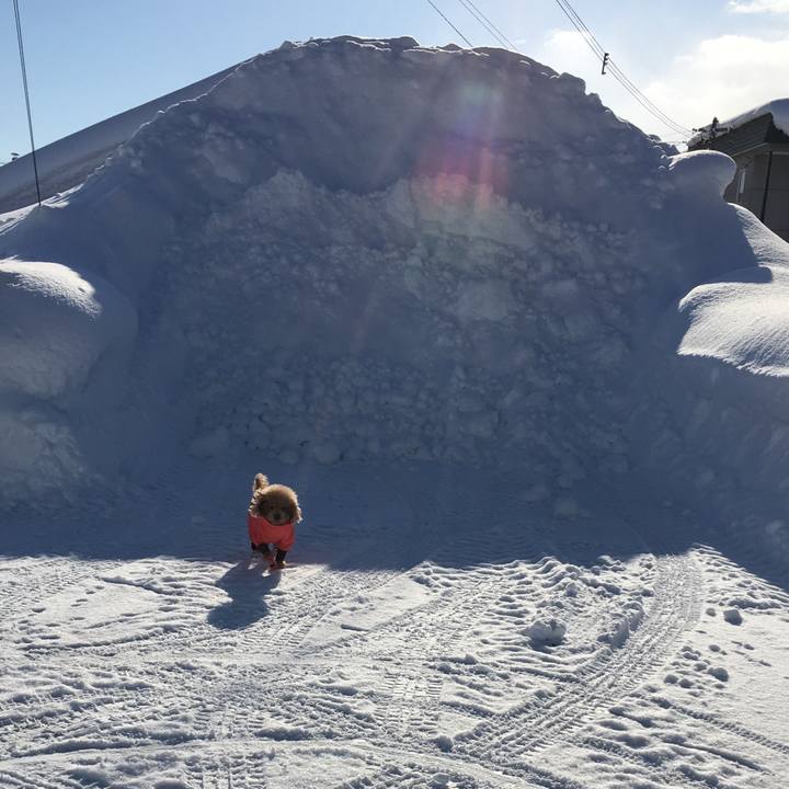 De70557a be4a 4453 8fb4 b81c7b96642f 1517460822146