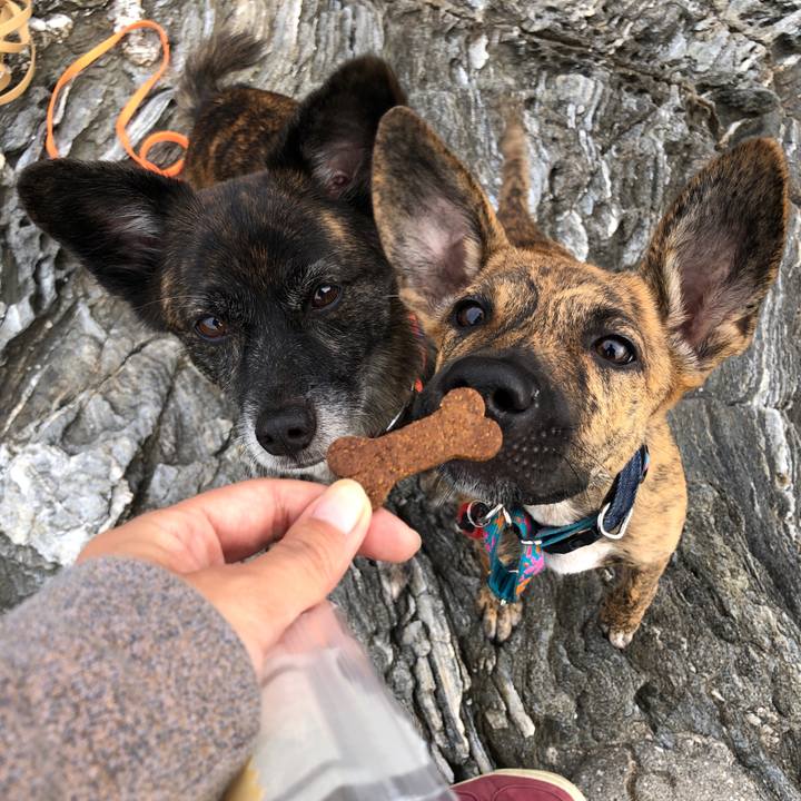 De705933 60d4 4259 9b6c c6a67a0bdb6f 1571563329254