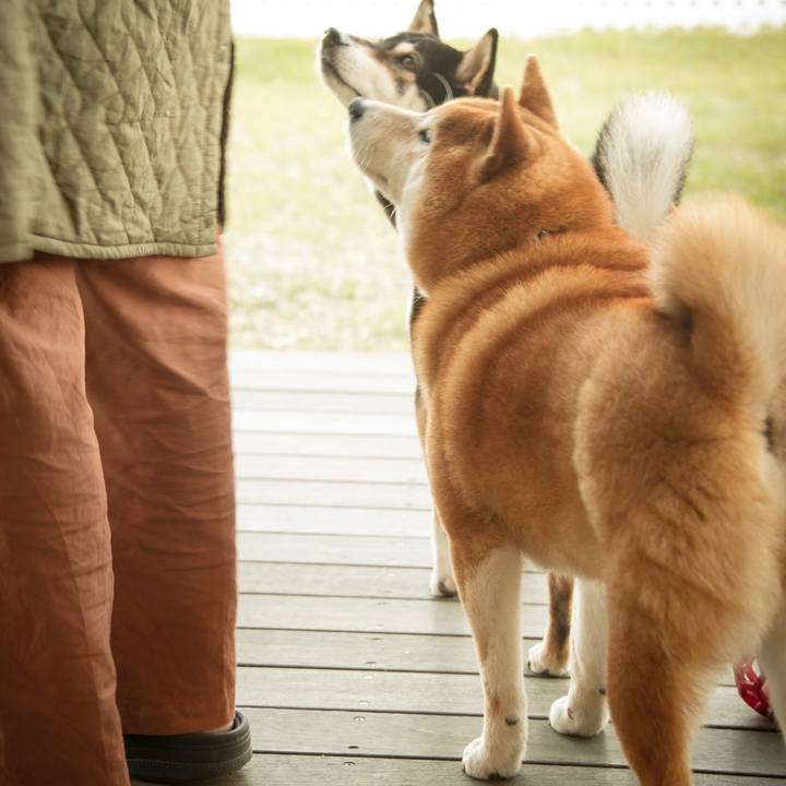 De70600a ea45 4aa2 a1e8 347eb9e213b3 1654869034991