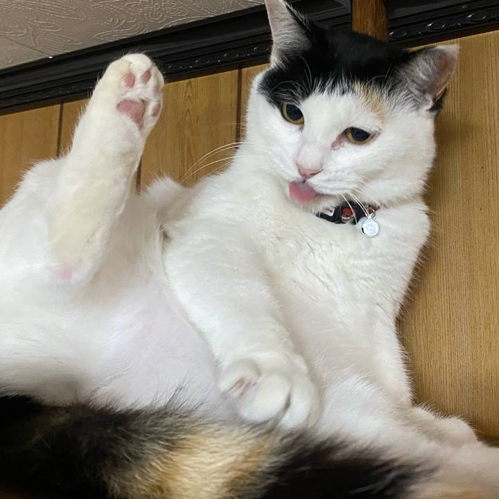 De706367 1445 405f 8f0c 8b313de484d8 1649344485805