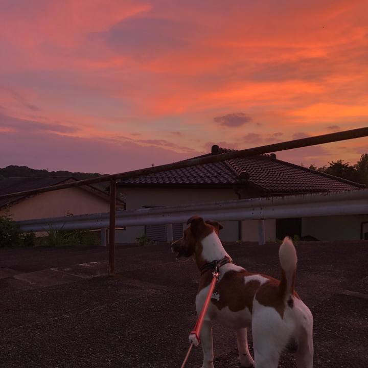 De7077d0 50a1 441b b221 3b81addbf156 1531565164400