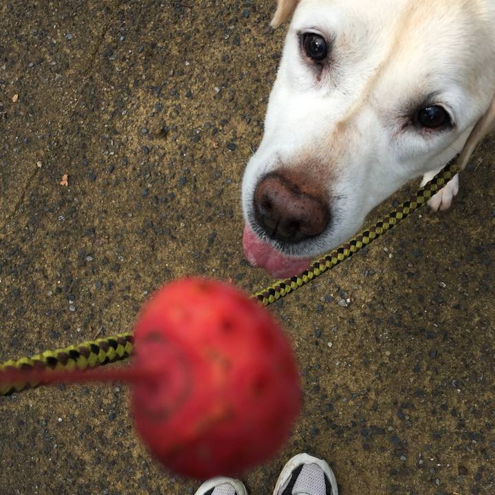 De707f8b ec55 49e0 9cce 316bde79e457 1537076330887