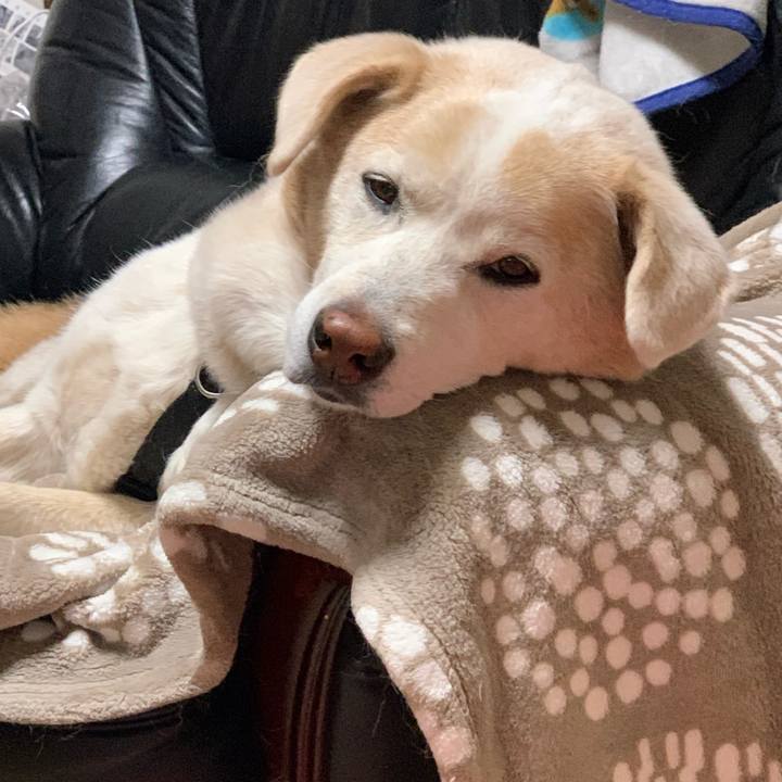 De70a9b9 dcbb 4e2d 9d37 fe227f6861ce 1671712992844