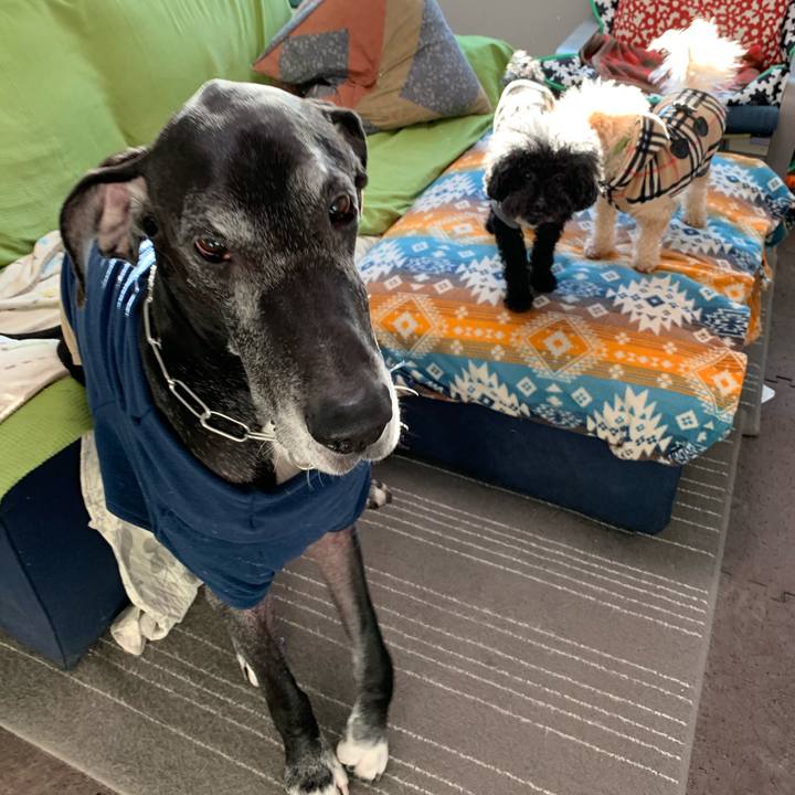 De70fae6 ff03 4687 92b2 6ed7b86597c7 1575499700368