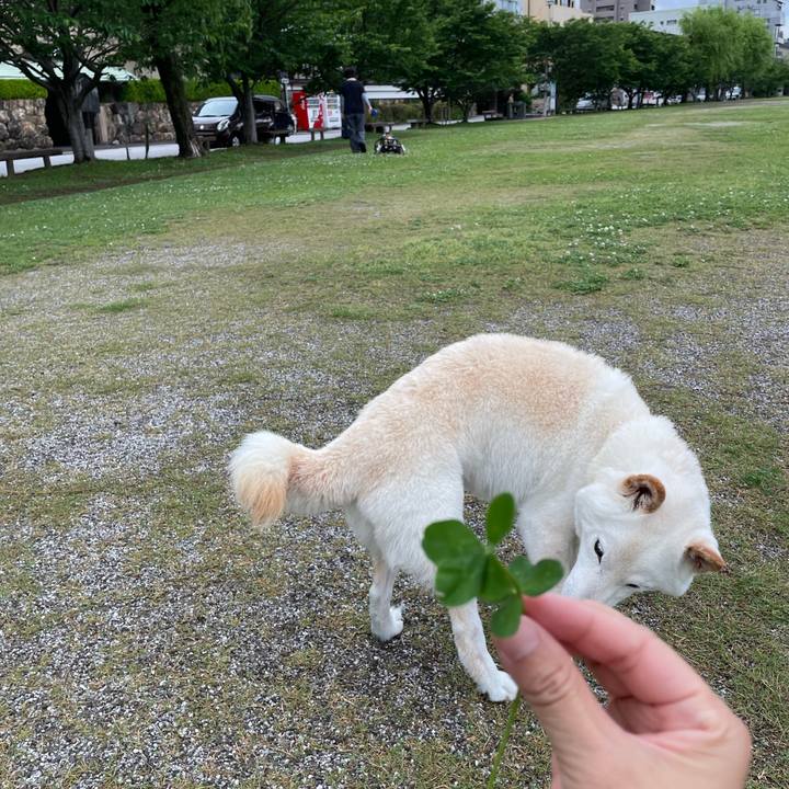 De710e54 6d43 4b27 87e7 b3139e9a98f4 1652279716181