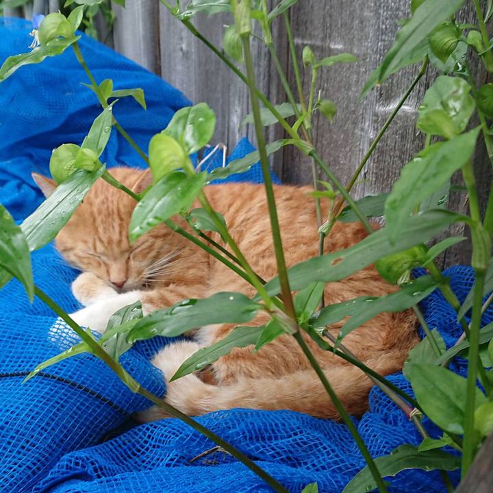 De719897 eccc 4eb3 a9f6 79ba7f5ce97d 1567810213629