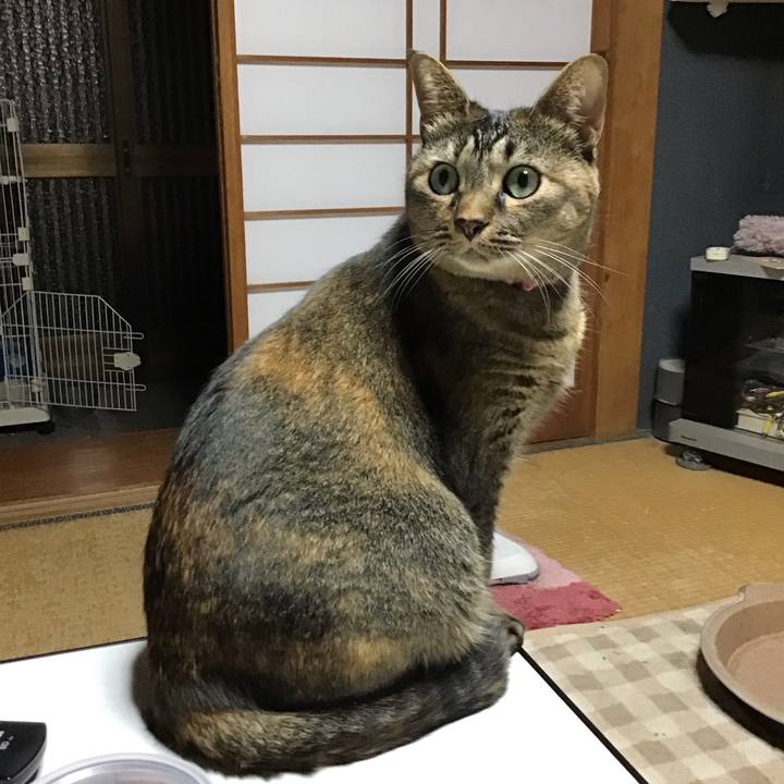 De719b24 548f 4cf3 96b1 bda48e7af36a 1730800608208