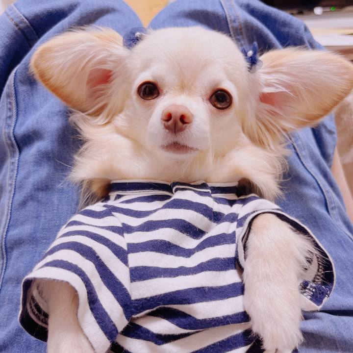 De71ad18 baa0 4cdb 942b 19e40e74e8a7 1679651682506