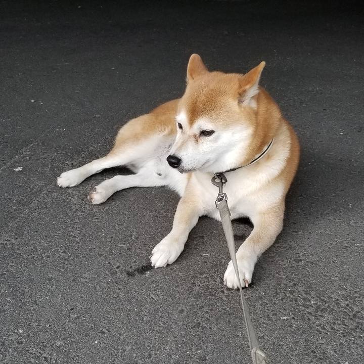 De71bdfa f1ef 48df 99a2 95473c889fc7 1535687424624