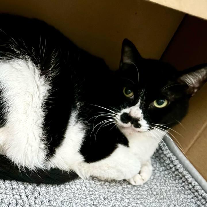 De71e11e 1932 46c8 ba59 08b503a84ac7 1717372763839