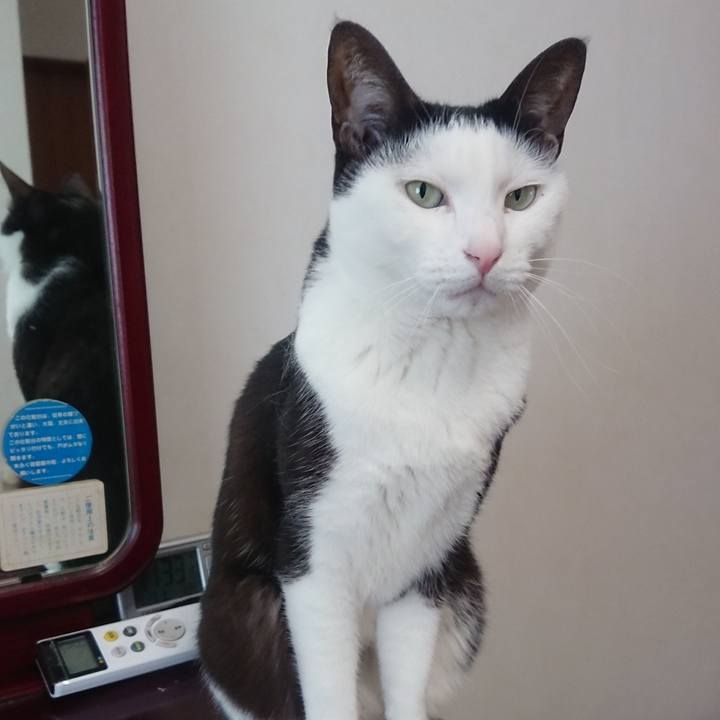 De71f403 860a 4b49 8108 e0cce5066073 1553829517920