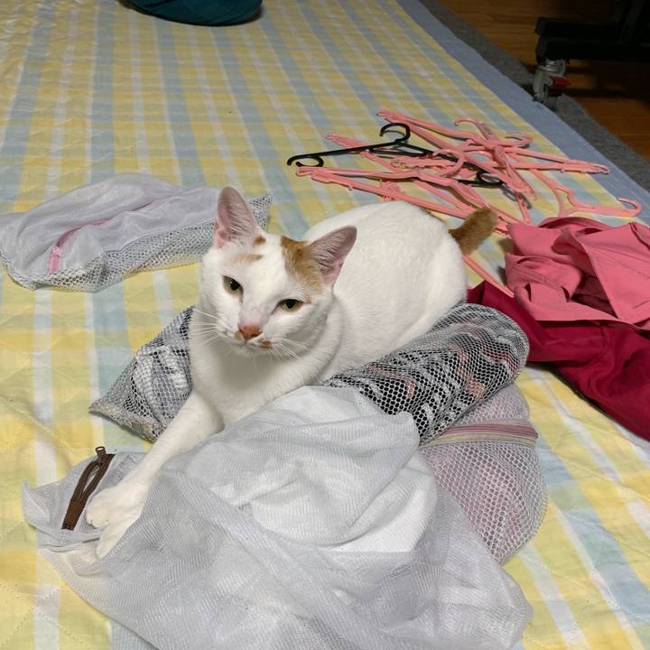 De722ceb a381 40b9 bb57 b1a29e7eff46 1558103560922