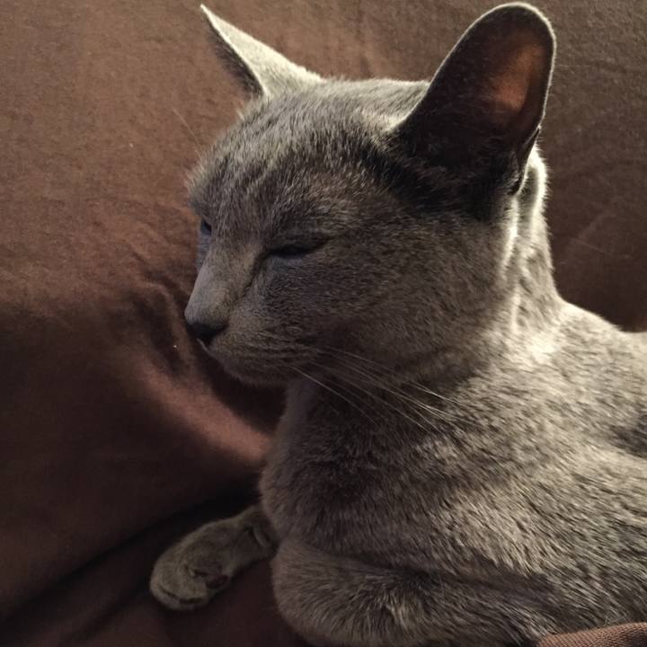 De72390b dd3c 46e6 a5f2 5aa4ace758f9 1548977509169